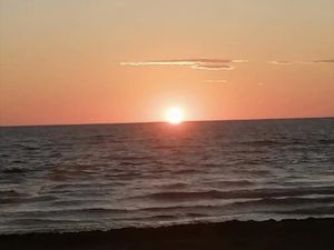 Vente maison 8 pièces 200 m² à Grosseto-Prugna (20128)  895 000 €