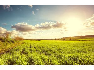 Vente terrain 530 m² à Sainte-Maure-de-Touraine (37800)  53 000 €