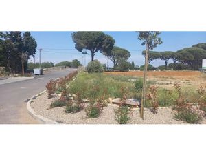 Vente terrain 440 m² à Sallèles-d'Aude (11590)  96 500 €
