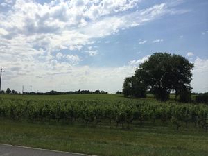 Vente terrain 1000 m² à Salles (33770)  190 000 €