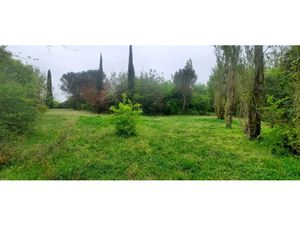 Vente terrain 1003 m² à Trébons-sur-la-Grasse (31290)  163 000 €