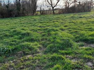 Terrain constructible