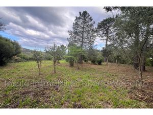 Vente terrain 2462 m² à Sainte lucie de porto vecchio (20144)  402 800 €