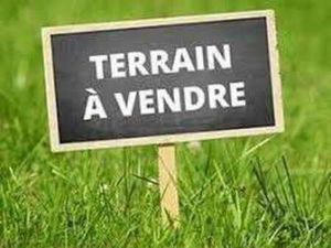 Vente Terrain à Cardroc (35190) : à vendre / Cardroc