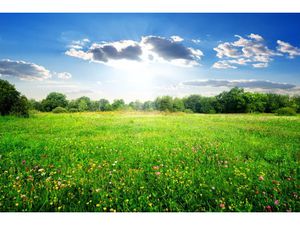 Vente terrain 2335 m² à Saugnacq-et-Muret (40410)  175 000 €