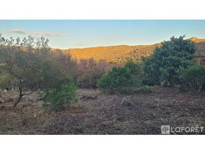 Vente terrain 1490 m² à Porto-Vecchio (20137)  399 000 €