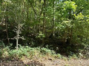 Terrain à bâtir de 15a 98ca situé au Bois Cochet