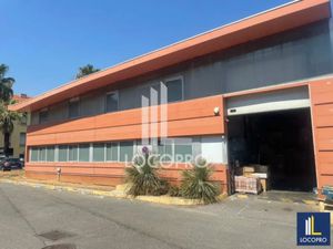 A LOUER - LOCAL D'ACTIVITÉS 524 M² - CAGNES SUR MER