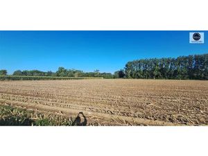 LANDBOUWGROND GELEGEN TE VIANE