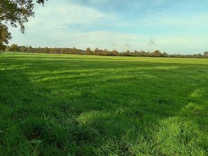 EXPLOITATION AGRICOLE - TERRAIN - VALLONS DE L'ERDRE
