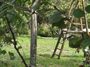 Vente Terrain à Thouaré-sur-Loire (44470) : à vendre / Thouaré-sur-Loire