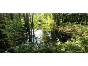 Rare à la vente secteur mille étangs ! Etang avec terrain et cabanon