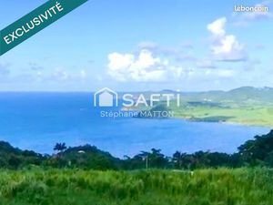 Terrain 11291 m² LA TRINITE