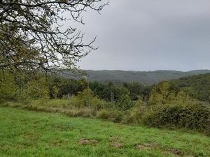 Terrain constructible 6000m2  rare à la vente  avec projet de maison de 100m2