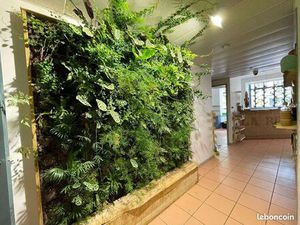 Local commercial 194 m²