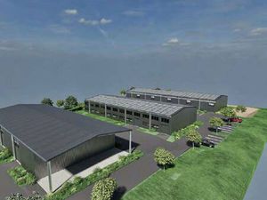 Local d'activités à louer