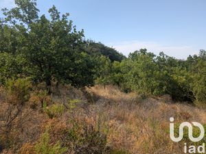 Vente Terrain Loisirs 6 500 m²