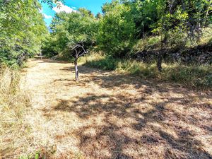 SAINT MARTIN VESUBIE