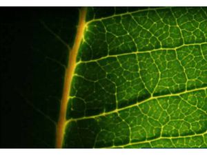 Annonce vente appartement 3 pièces de 66m2 à Embrun (05200) - ParuVendu.fr ref 99278236763