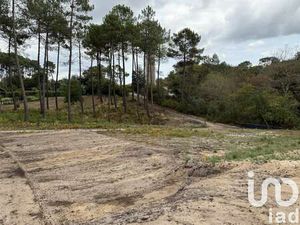 Vente Terrain à Castets (40260) : à vendre / 703m² Castets