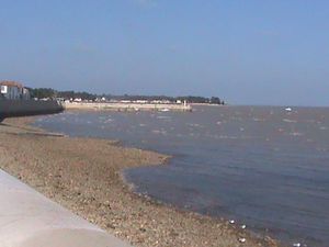 Location appartement 3 pièces 68 m² à Rivedoux-Plage (17940)  1 355 €