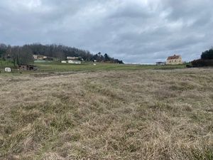 Vente terrain 3299 m² à Saint-Cyprien (24220)  71 500 €