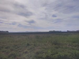 Vente terrain 499 m² à Muntzenheim (68320)  124 750 €