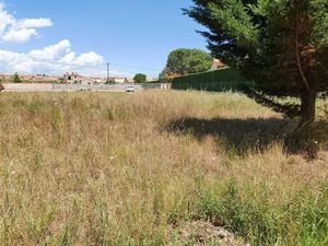 Vente terrain 638 m² à Thuir (66300)  119 000 €