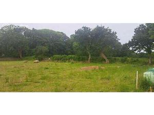 Vente Terrain au Conquet (29217) : à vendre / 840m² Le Conquet