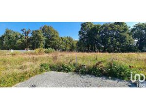 Terrain constructible viabilisé à vendre