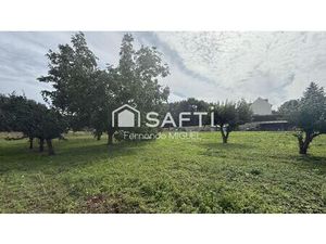 Annonce vente terrain terrain de 7653m2 à Dadonville (45300) - ParuVendu.fr ref 9927823952