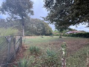 Vente terrain 710 m² à Roaillan (33210)  70 000 €