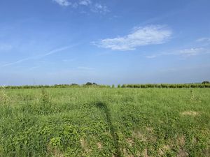 Vente terrain 1156 m² à Landiras (33720)  120 000 €