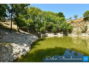 Vente Maison Viager à Surgères (17700) : à vendre Viager / 216m² Surgères