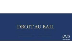 iad France Virginie Patetta