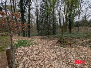 Propriété de loisirs à vendre