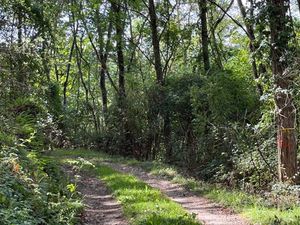 SAINT PAUL DE JARRAT : ENSEMBLE DE TERRES COMPOSE D'UN BOIS