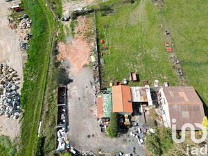 iad France Laurie Pous