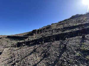 Terrain champêtre/forestier à vendre
