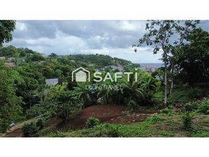 Vente terrain 2479 m² à La trinite (97220)  173 000 €