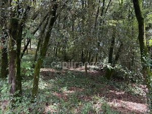 Vente terrain 1032 m² Cendras (30480)