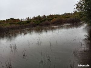 Vend étang 10 ha pour la pêche ou autre