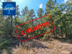 Terrain 7032 m² SAINT TRINIT