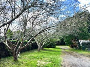 Terrain 1 500 m² Orx