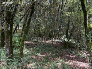 Terrain 1 032 m² Cendras