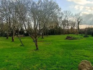 Vente terrain 507 m² à Olonne-sur-Mer (85340)  139 000 €