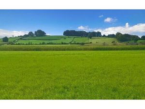 Annonce vente terrain terrain de 11m2 à Bidache (64520) - ParuVendu.fr ref 992782536737