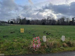 Terrain constructible viabilisé à vendre