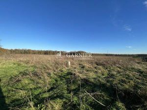 Terrain constructible viabilisé à vendre