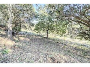 Terrain de 2153 m2 - La Môle  France